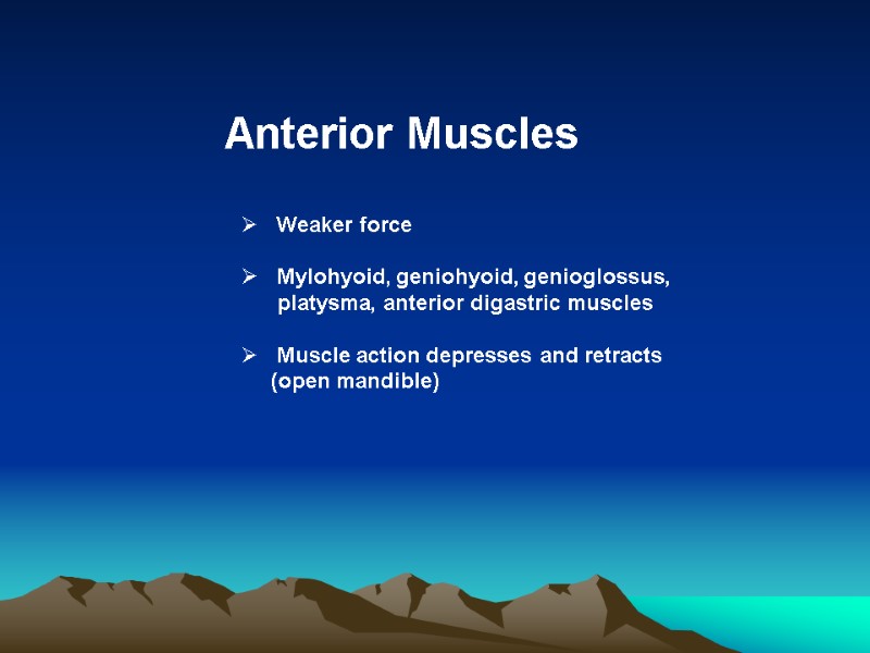 Anterior Muscles     Weaker force     Mylohyoid, geniohyoid,